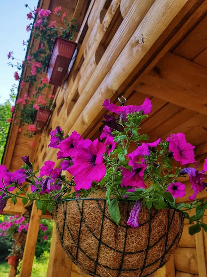 Brvnara Borovik Villa Cetinje Eksteriør bilde